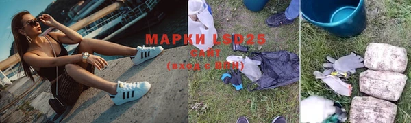 apvp Аркадак