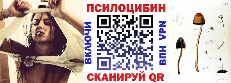 наркотики  Ряжск  OMG сайт  Галлюциногенные грибы Psilocybe 