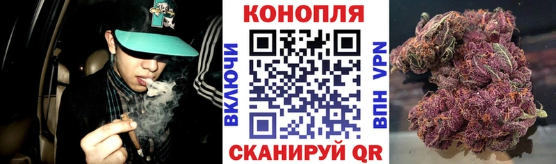 Бошки Шишки ГИДРОПОН  купить наркоту  Ряжск 